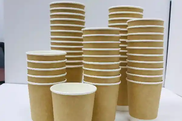 Where to buy cheap paper cups in bulk?