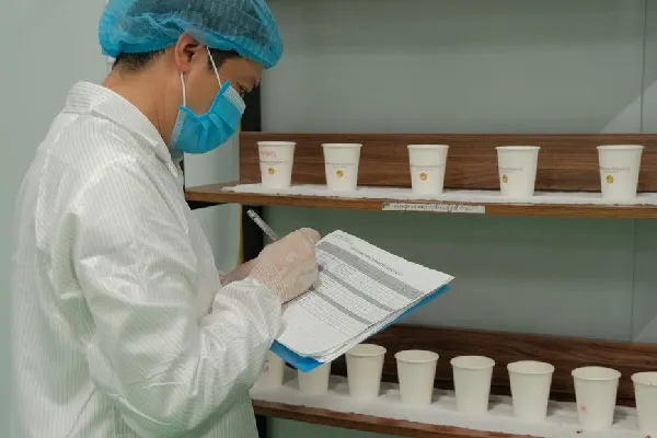 Cốc giấy đạt tiêu chuẩn an toàn thực phẩm