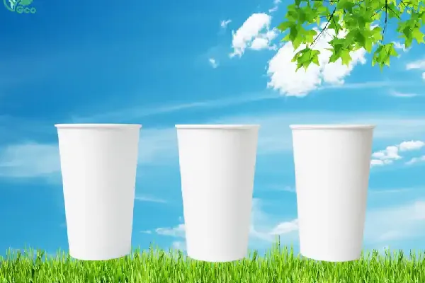 Cốc Giấy Là Gì? Có Bao Nhiêu Loại Cốc Giấy? Phân Loại Chi Tiết