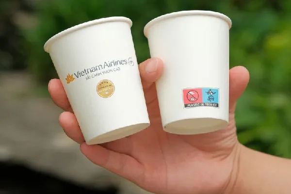 Cốc giấy, ly giấy phân hủy sinh học