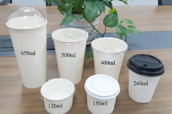 What is a paper cup? Why should you use paper cups?