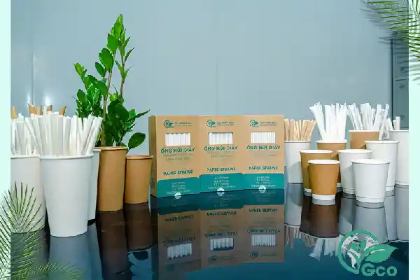 The company produces paper cups and paper straws in Hanoi