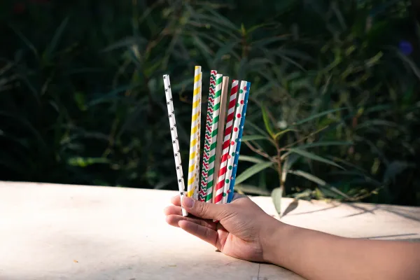 Are Paper Straws Suitable for Bubble Tea?