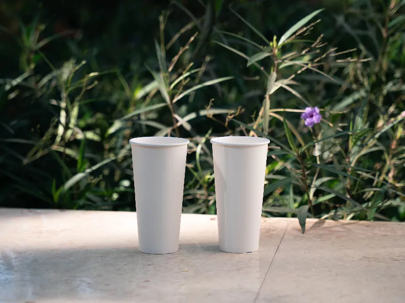 Cốc giấy trơn 12 Oz (360ml)