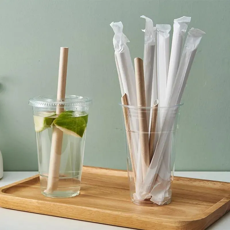 Why Are F&B Businesses Switching to Paper Straws?