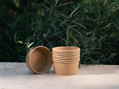 Bát giấy Kraft