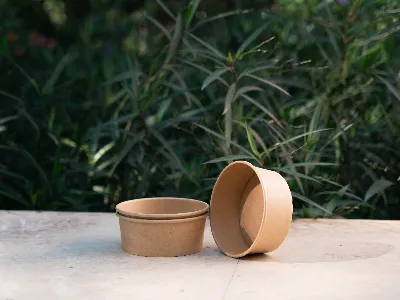 Bát giấy Kraft