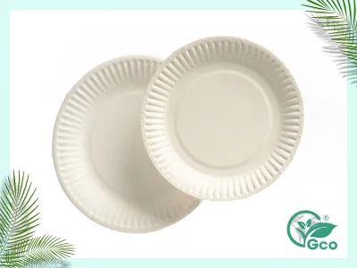 Small and medium sized paper plates