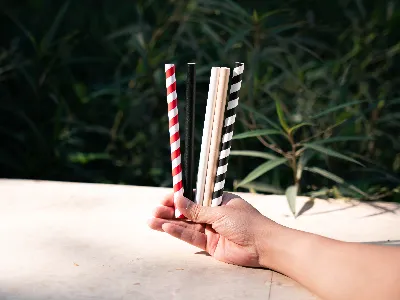 Ống hút giấy màu sắc